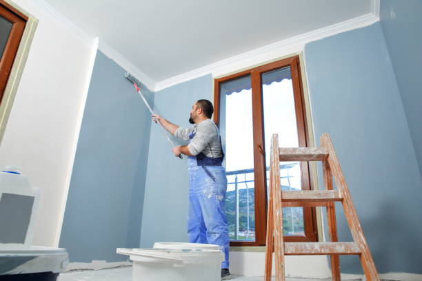 Best Real Estate Mold Inspection  in Burnham, IL