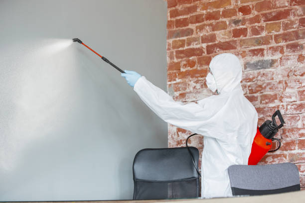 Professional Mold Removal in Burnham, IL