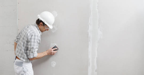 Best Mold Prevention Services  in Burnham, IL