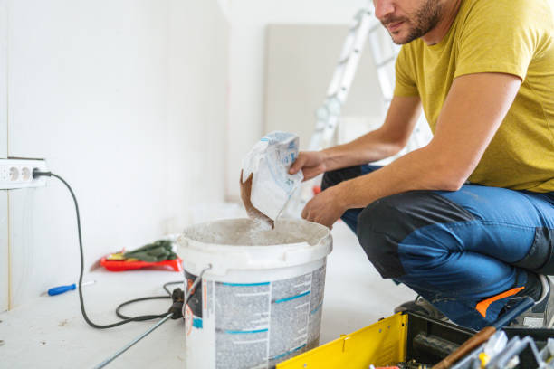  Burnham, IL Mold Removal Pros