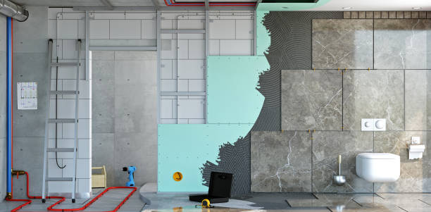 Best Commercial Mold Inspection  in Burnham, IL