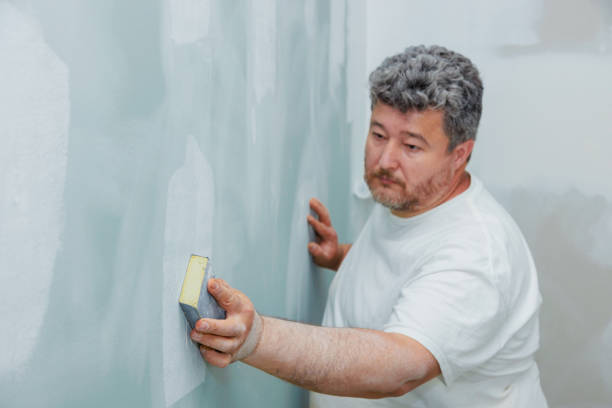 Best Forensic Mold Investigation  in Burnham, IL