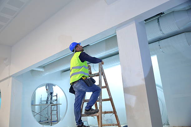 Best Air Quality Testing for Mold Spores  in Burnham, IL