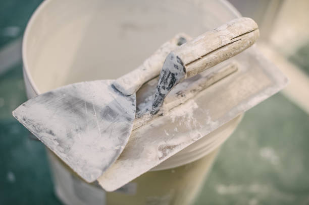 Best HVAC Mold Inspection and Cleaning  in Burnham, IL
