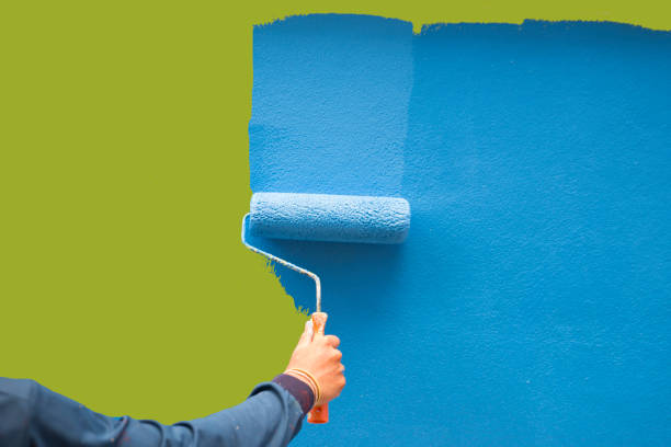 Best Mold Odor Removal Services  in Burnham, IL