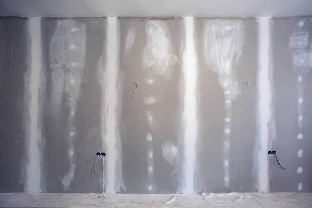 Best Environmental Consulting for Mold Prevention  in Burnham, IL